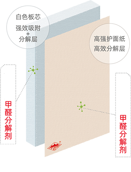 ��ҳ| �Ƿ�����2121�����ٷ���վ